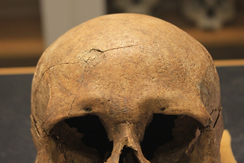 Archaeological setting with a skull 