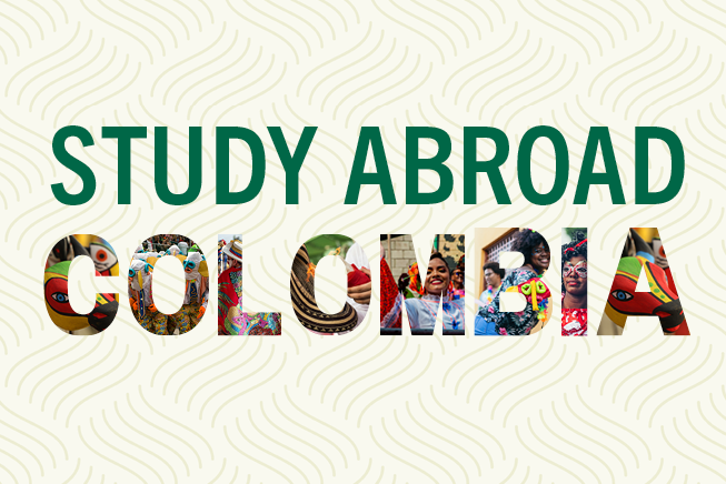 USF cybersecurity study abroad programs are growing