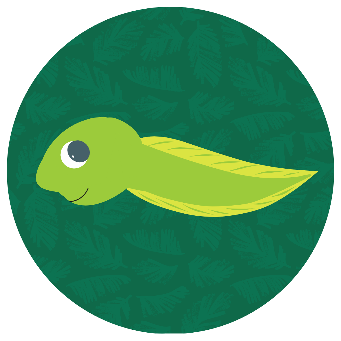 Swim Level 1 Tadpoles