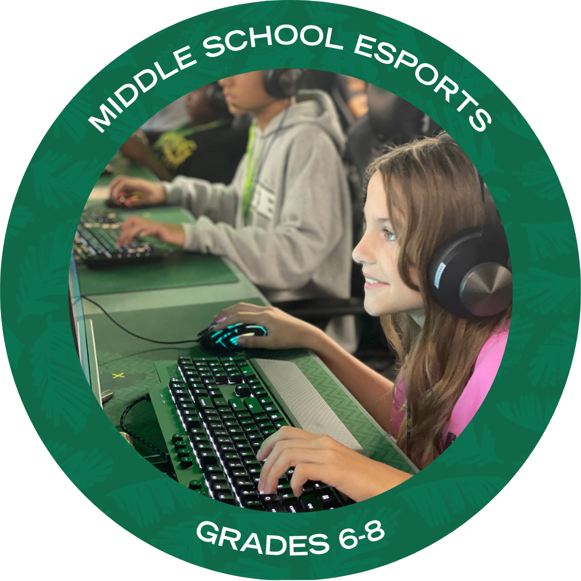 USF Esports Camp with text stating "USF Esports summer camp grades 6-8"